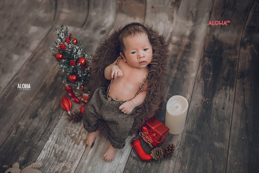 album ảnh giáng sinh newborn
